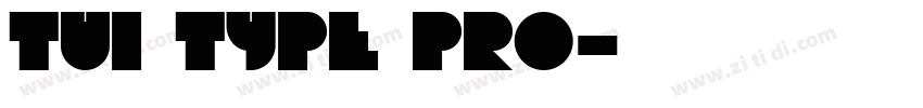 TUI Type Pro字体转换